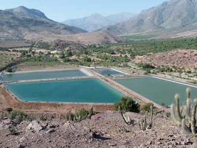 Chile: agua o aguacates