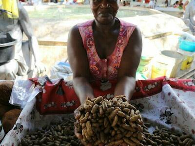 Construyendo soberanía alimentaria con feminismo campesino y popular