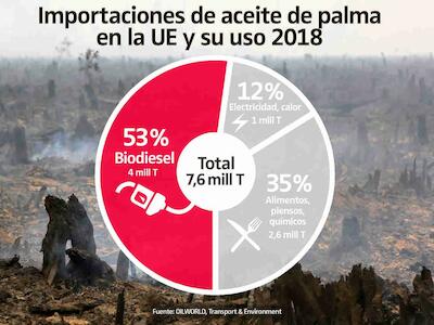 Detengan YA el biodiesel de aceite de palma y soja