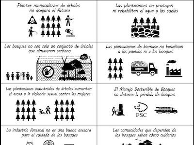 Educar a la FAO: ¡una imperiosa necesidad! | 21 de marzo de 2019 – Día Internacional de los Bosques