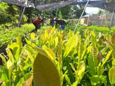 El emprendimiento agroecológico desde la perspectiva de la Economía Solidaria