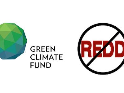 El Fondo Verde para el Clima (GCF) debe rechazar las solicitudes de financiamiento para REDD+