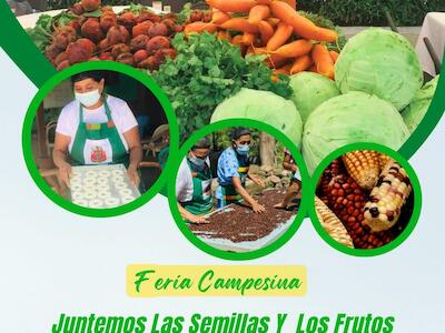 Feria campesina 