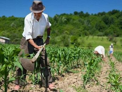 Foro "Declaración de la ONU sobre derechos del  campesinado: Propuestas y desafíos en Colombia"
