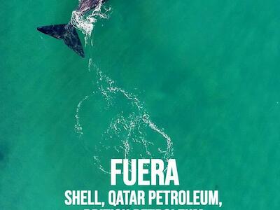 Fuera Shell, Qatar Petroleum, British Petroleum y Totalenergies Austral del Mar Argentino