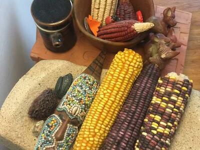 México: ¡No al maíz transgénico! Red en Defensa del Maíz
