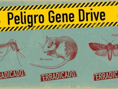 Moratoria a la utilización de la "tecnología de la extinción"