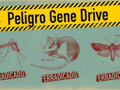 No a la liberación en el medio ambiente de organismos con impulsores genéticos