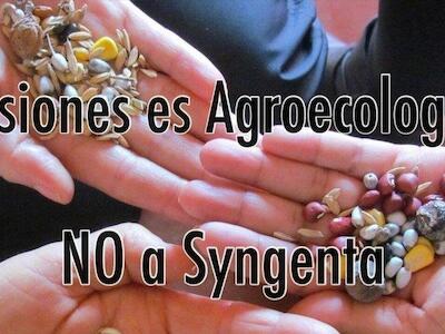 NO al convenio entre el Gobierno de Misiones y Syngenta