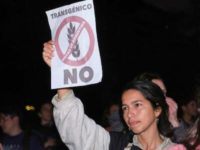 “Pan sin veneno”, la campaña que rechaza el trigo transgénico en Paraguay 