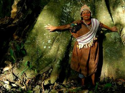 Para proteger la biodiversidad se deben respetar los derechos de los pueblos indígenas