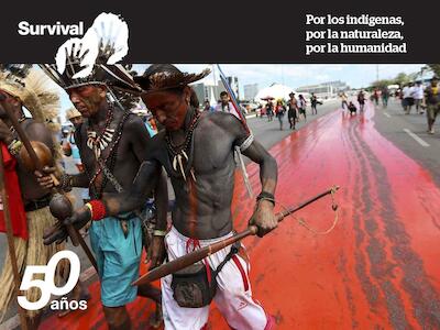 Paremos los ataques contra los indígenas de Brasil
