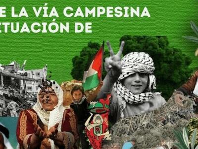 Petición de La Vía Campesina sobre la situación en Palestina: ¡Más de 4100 firmantes exigen una acción inmediata!