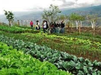 Proyecto de formación y fortalecimiento de nodos agroecológicos territoriales