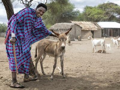 Los masái son uno de los pueblos más famosos de África oriental (© Katiekk2/istockphoto.com)