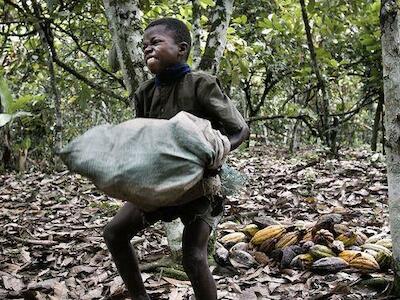 Trabajo infantil: el oscuro secreto del chocolate