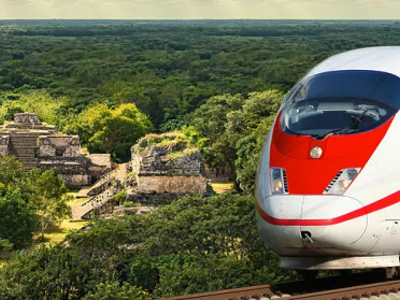 Tren Maya arrasará la selva en México