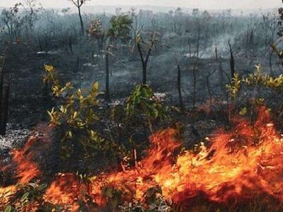 Foto de TeleSUR