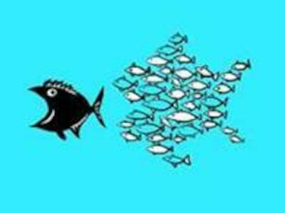 Únete a las acciones de solidaridad global para apoyar a los agricultores tailandeses que presionan a Charoen Pokphand por el brote de tilapia Blac...