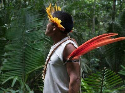 Vos también podés decirle no al ganado criado ilegalmente en la Amazonía