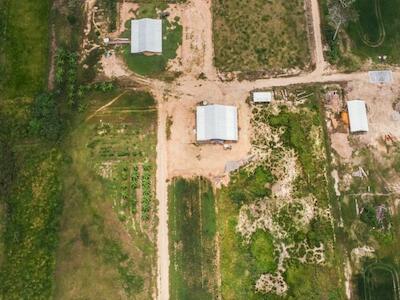 Colonias menonitas han deforestado más de 7000 hectáreas en la Amazonía peruana