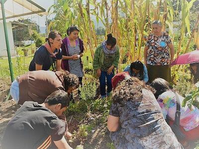 Recuperar saberes sobre plantas medicinales