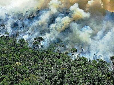 22 de abril, Dia da terra: carta aos governantes do mundo 