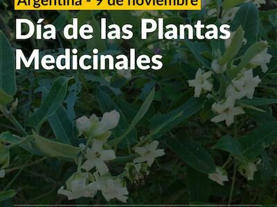 9 de noviembre: Día de las plantas medicinales