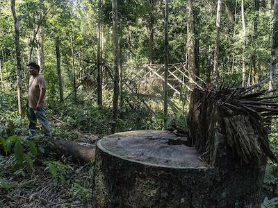 A maior violência contra os povos indígenas é a destruição de seus territórios, aponta relatório do Cimi