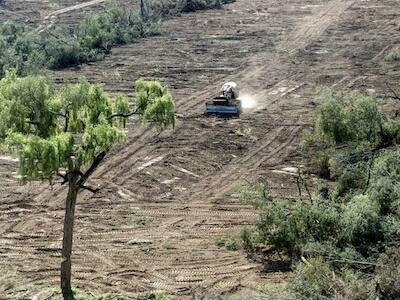 A más extractivismo, menos democracia