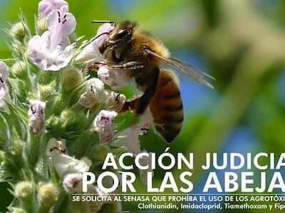 Acción Judicial por las Abejas