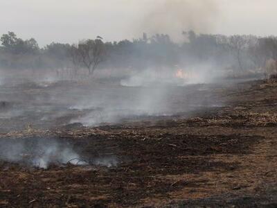 Advertencia de investigadores ante un desastre ambiental por los incendios