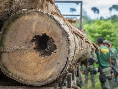 Agricultura, pecuária e garimpos: as causas do desmatamento na Amazônia Legal. Entrevista especial com Antônio Victor Fonseca