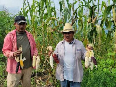 Los saberes y semillas son herencia identitaria para las familias de Las Lomitas, Coyuca de Benítez, Guerrero. Foto de Marcos Cortez