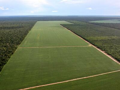 Agro é tech, agro é pop, agro é tudo