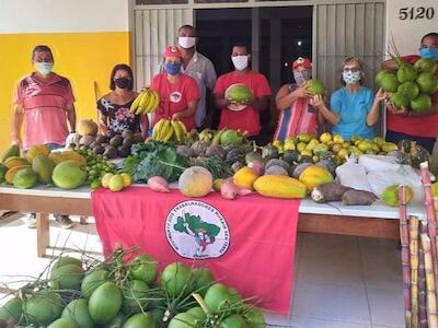 "Agroecologia é vista como alternativa, mas deveria ser prioridade"