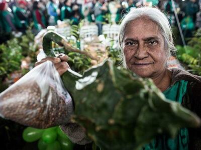 Agroecologia, saúde e mulher