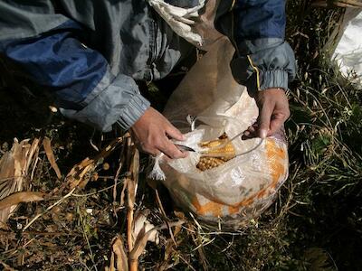 Agroecología: una atención adicional