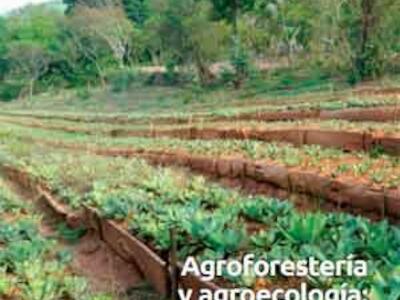 Agroforestería y agroecología: experiencias. Revista LEISA volumen 35, número 4