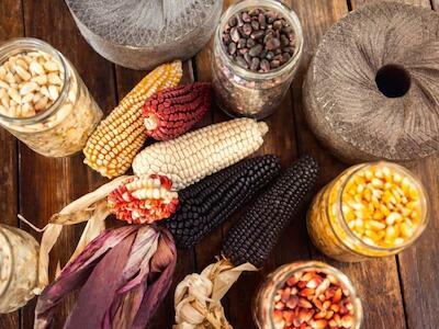 Alimentación y trasnacionales