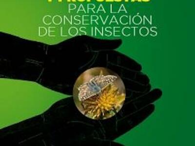 Análisis de la situación y propuestas para la conservación de los insectos