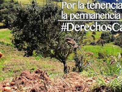 Argentina: Decenas de organizaciones y legisladores firman y adhieren pedido de adopción de la Declaración de Derechos Campesinos en la ONU