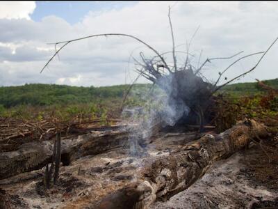 Articulação Agro é Fogo [Articulación Agro es Fuego] en el enfrentamiento a los incendios criminales en Brasil