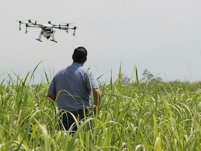 As big techs: o objetivo é controlar economicamente as relações no campo