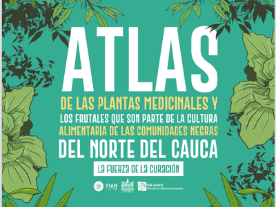 Atlas de las plantas medicinales y frutales que son parte de la cultura alimentaria de las comunidades negras del norte del Cauca: La fuerza de la...