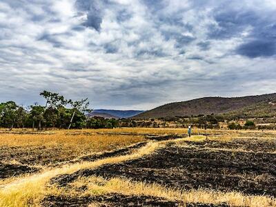 - Tierras agrícolas en Zambia. Imagen cortesía del Instituto Oakland.