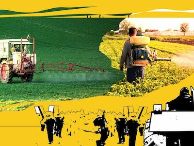 BASF intenta encubrir un escándalo probado, el Estado debe reaccionar