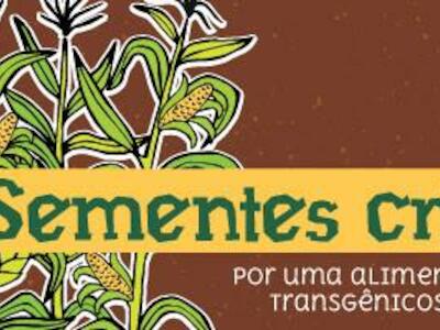 Boletim janeiro: sementes crioulas, por uma alimentação livre de transgênicos e agrotóxicos