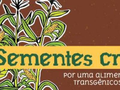 Boletim  março: Sementes crioulas, por uma alimentação livre de transgênicos e agrotóxicos 