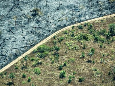 Amazonia. Foto: Flickr/O.Bozkurt